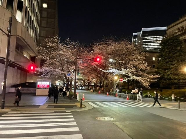 Erst ab Nacht wird Tokyo richtig schön 