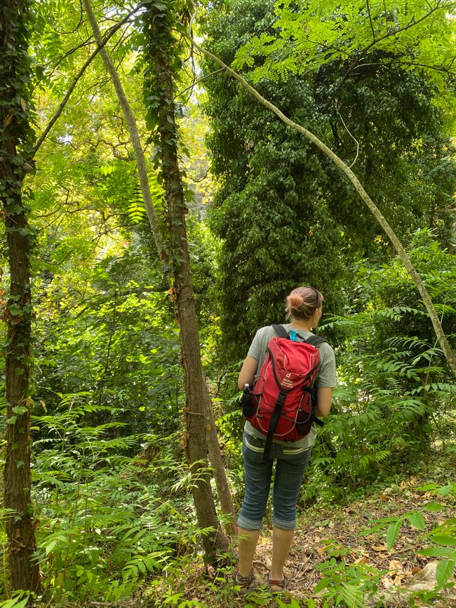 Wandern, schwitzen, meckern