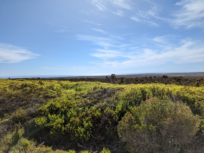 Cape Point Route 165 km