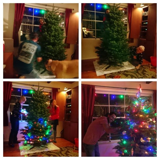 From procurement to decoration, the Christmas tree has great significance here