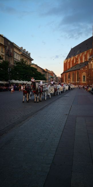 Fiakers in Krakow