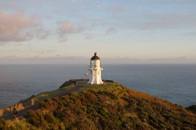 A trip to the far north - Northland and Cape Reinga