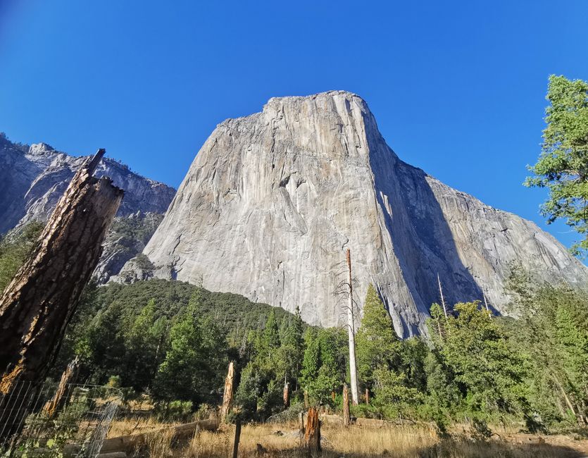 Auf geht's zum Trad Climbing am El Cap