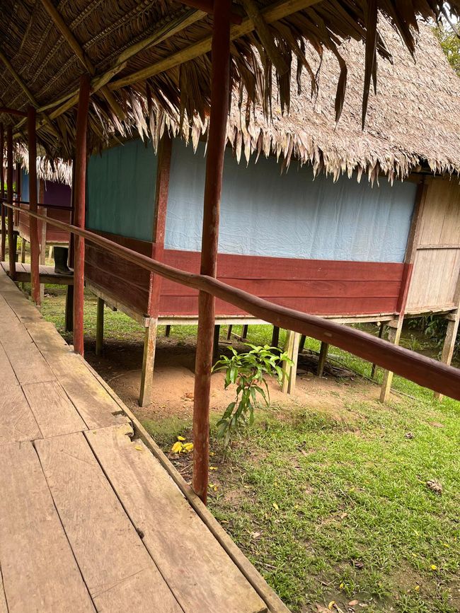 Our Jungle Camp - Iquitos in the Amazon region