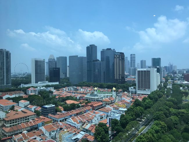Day 1 - Singapore 🇸🇬