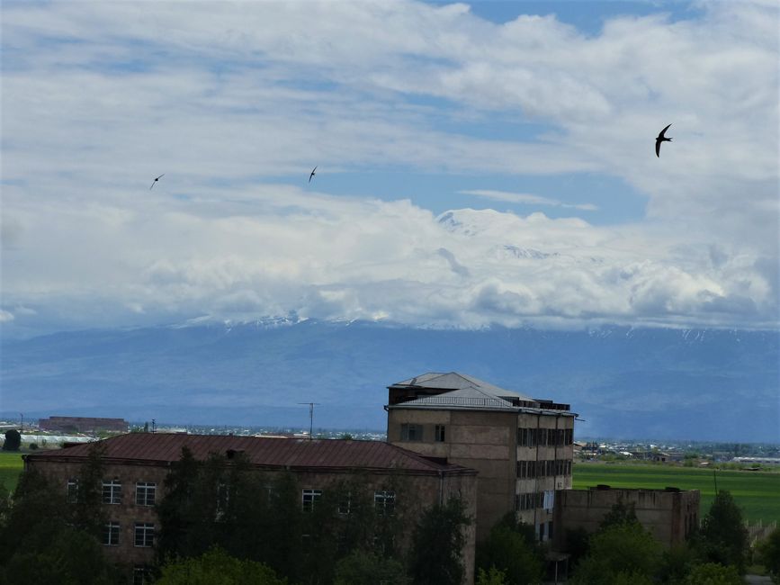 In den Wolken der Ararat