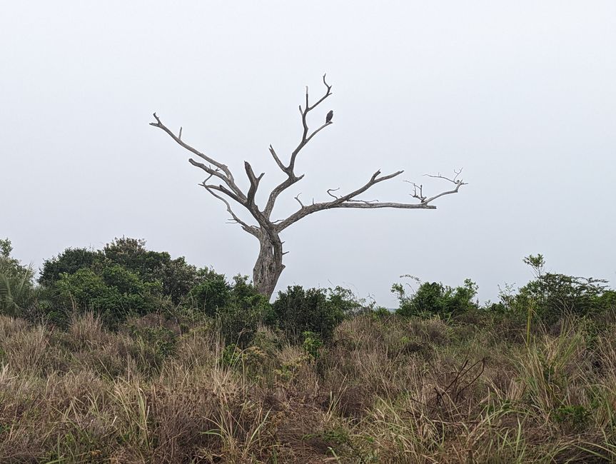 Parc marin d'iSimangaliso