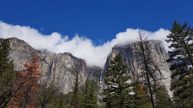 Traveling to Boston, San Fransisco and Yosemite Nationalpark