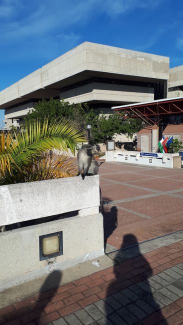 A colorful start at NMMU