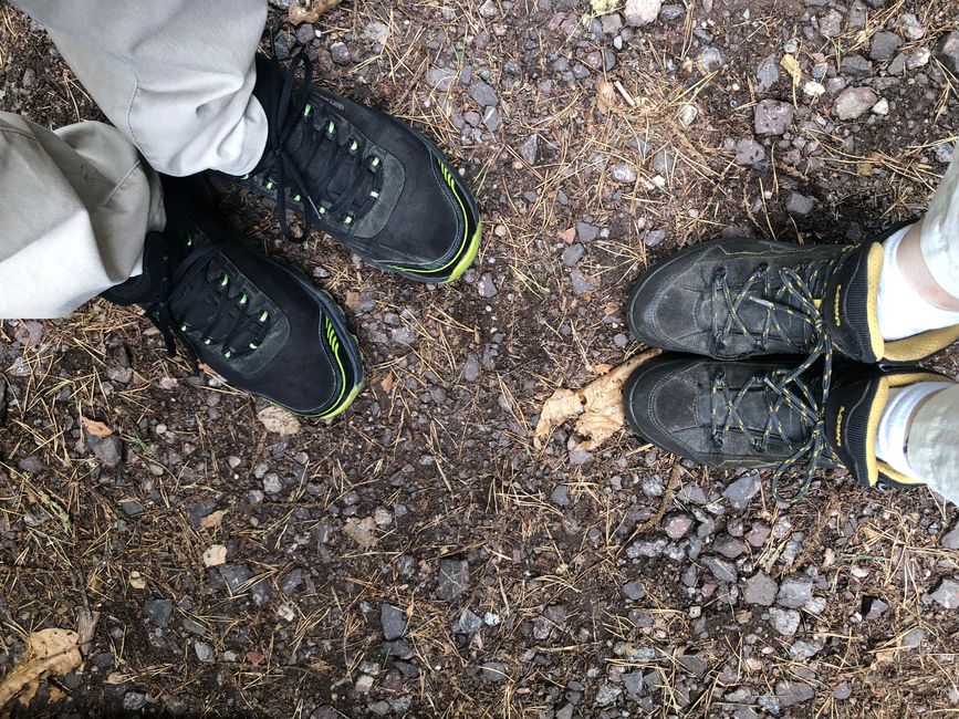 We have chosen hiking shoes