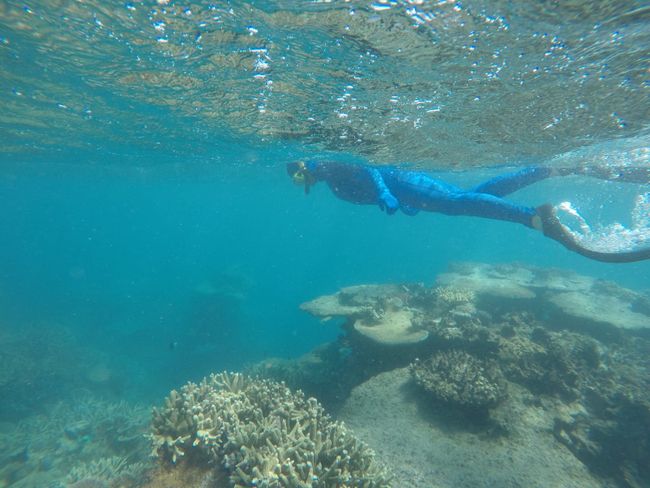Ben in the Great Barrier Reef
