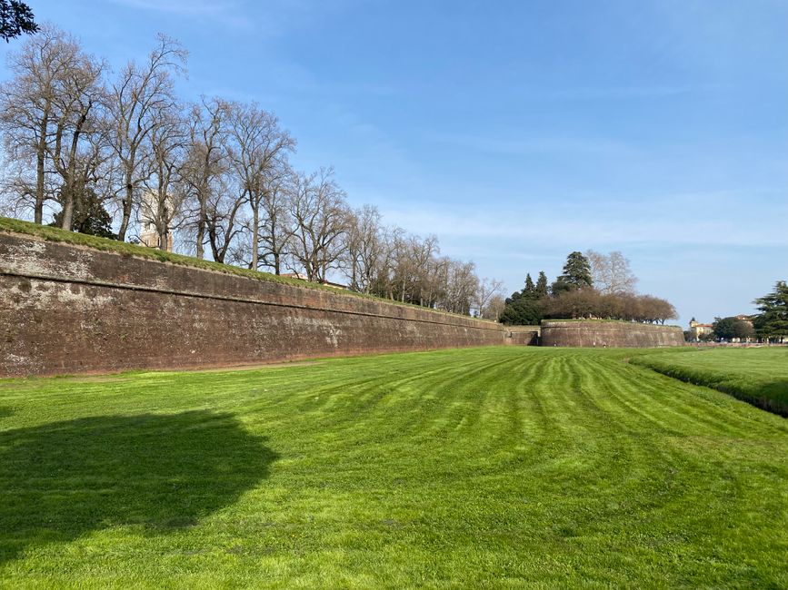 Bisschen wie in England- die Stadtmauer um Lucca, 4 km lang