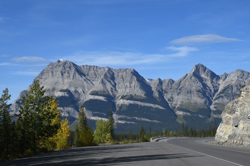 Am Icefield Parkway
