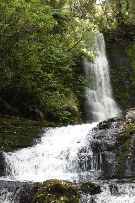 The Catlins - McLean waterfall