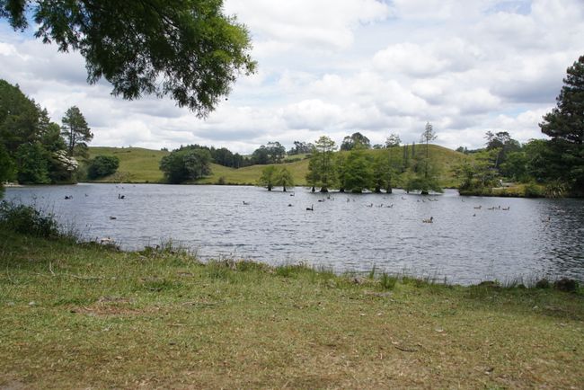 McLaren Lake
