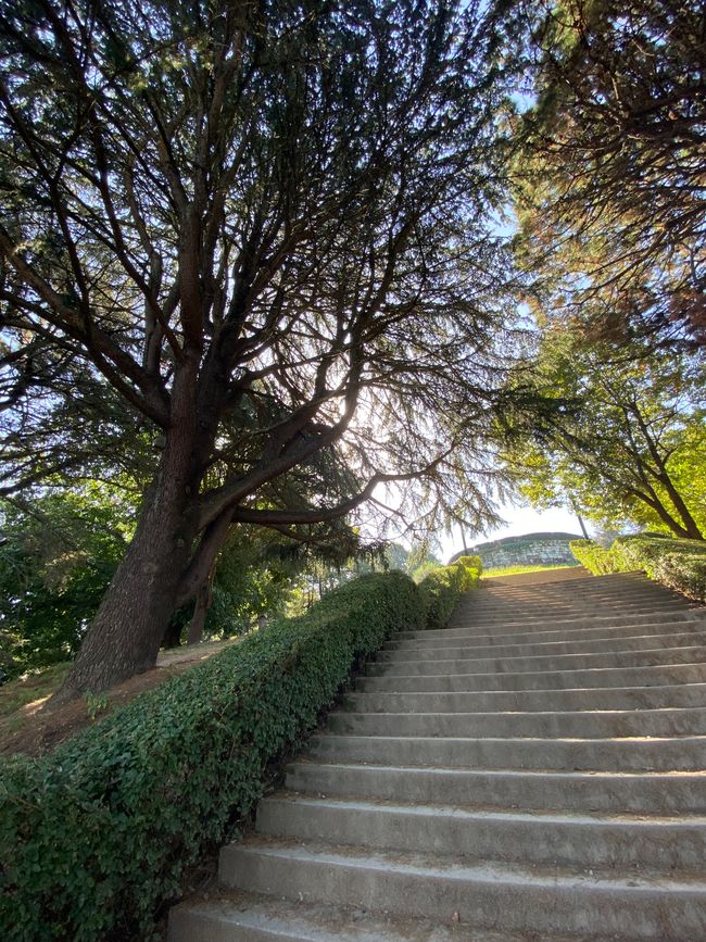 Stufen zum Schloss Vigo