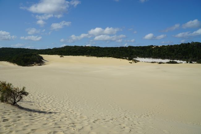 Fraser Island - Part 1