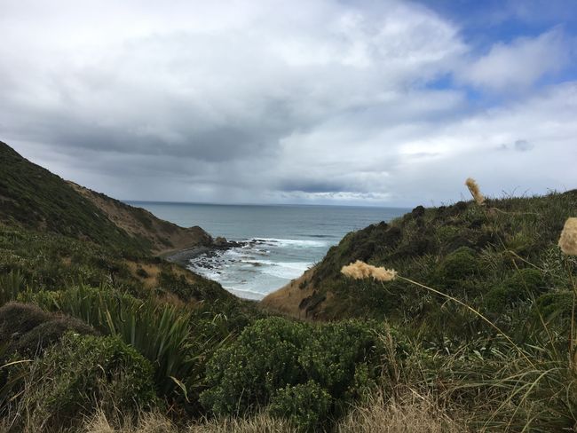 Just before Nugget Point 