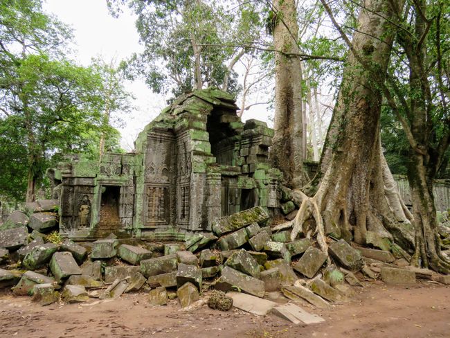 Tempelrun en Siem Reap - Angkor