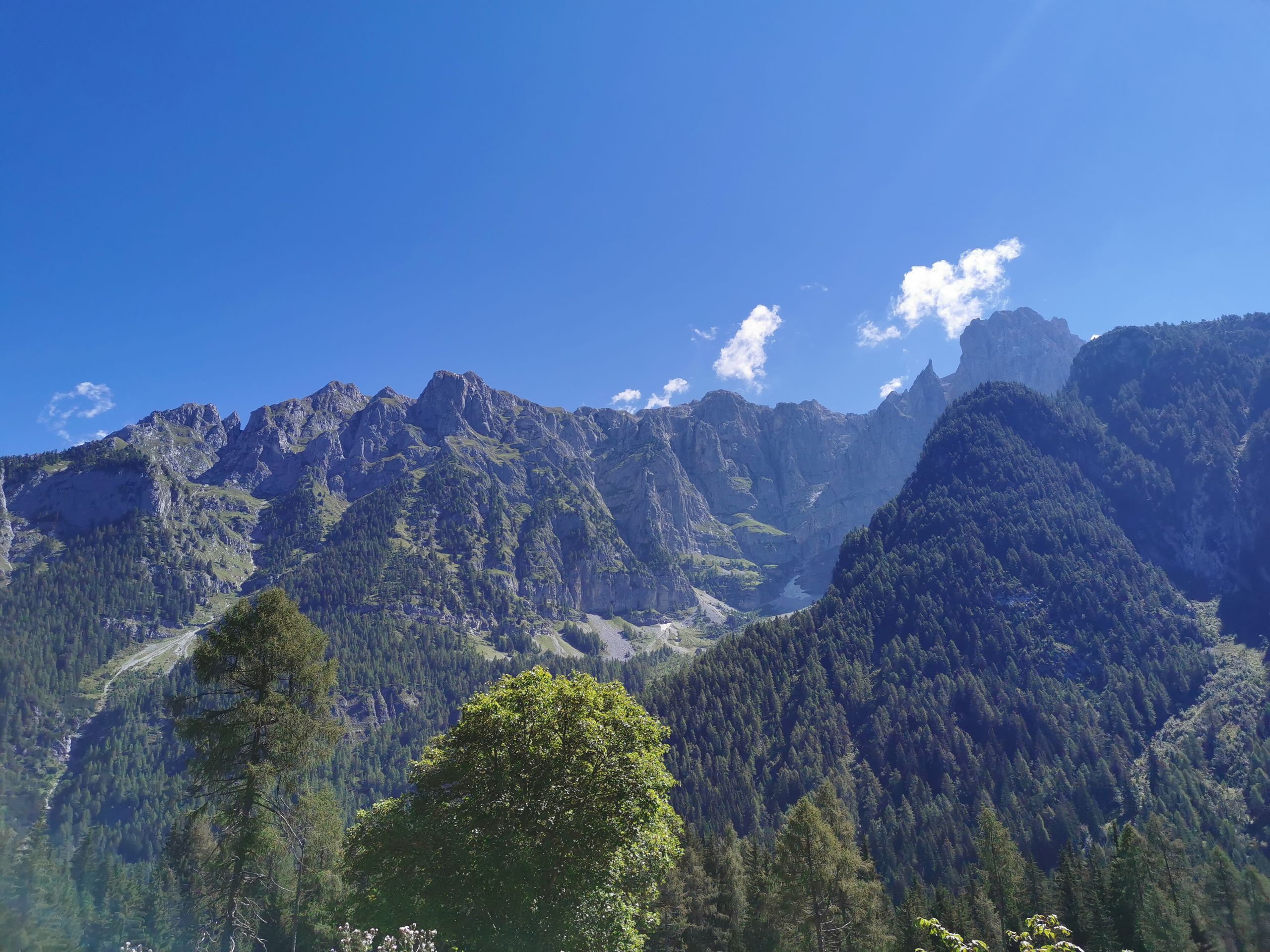 Blick auf die Brenta Dolomiten