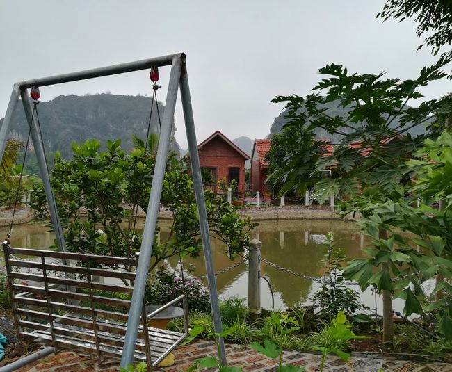 Ausblick auf den Teich