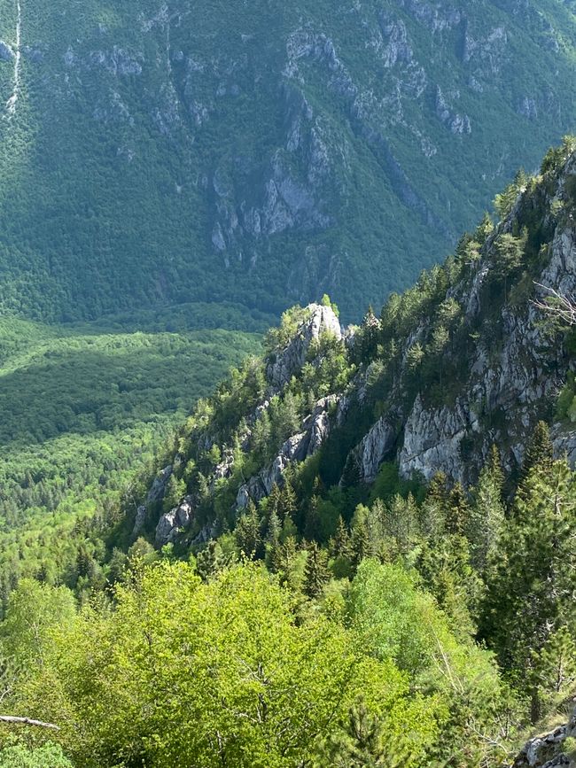 View of the Tara Canyon