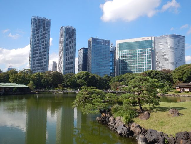 der Hamarikyu Garden mit der Skyline von Shiodome