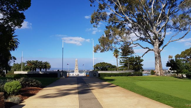 Kings Park in Perth 👌