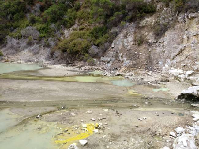 02.01.2017 Wai-o-Tapu, Te Kuiti, vormittags sonnig, nachmittags Regen, abends sonnig, 25 Grad – 18 Grad, 160km