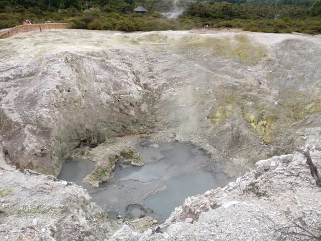 02.01.2017 Wai-o-Tapu, Te Kuiti, vormittags sonnig, nachmittags Regen, abends sonnig, 25 Grad – 18 Grad, 160km
