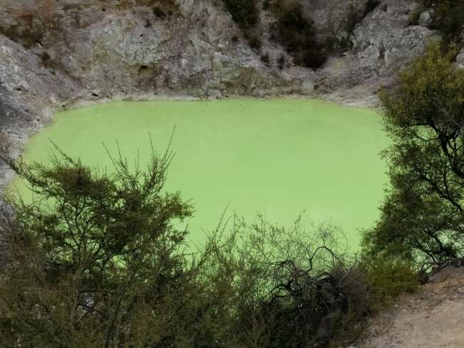 02.01.2017 Wai-o-Tapu, Te Kuiti, vormittags sonnig, nachmittags Regen, abends sonnig, 25 Grad – 18 Grad, 160km