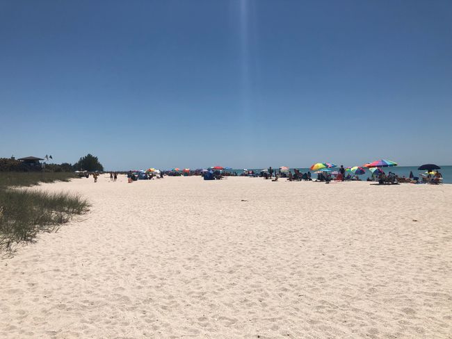 Day at the beach