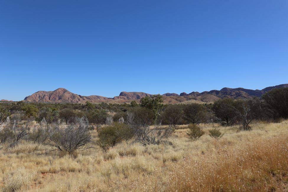 Drive to Standley Chasm