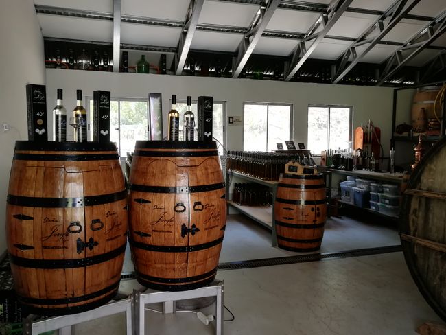 Pisco-Tour (Chilenisches Nationalgetränk) in der Destillerie Doña Josefa de Elqui