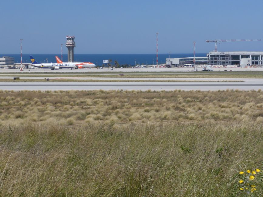 Der Flughafen von Palermo