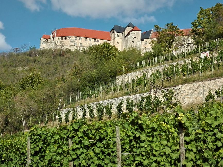 Saale, Unstrut and Freyburg in the Burgenland