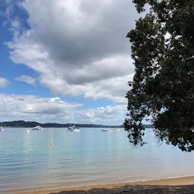 Day 20: Paihia & Russell
