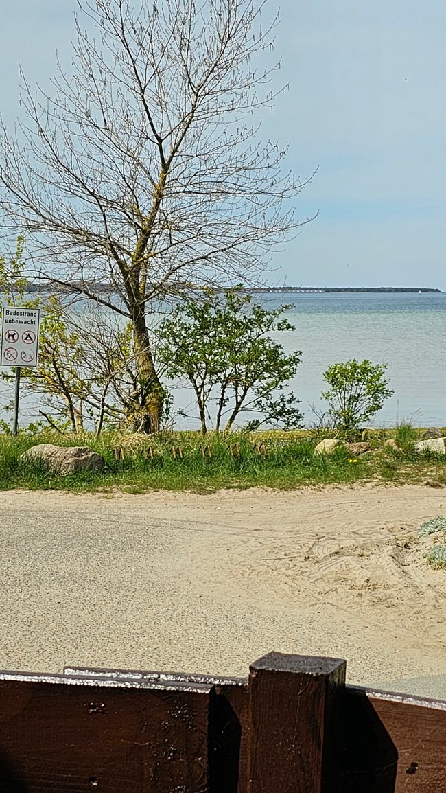 Campingplatz Liebeslaube 