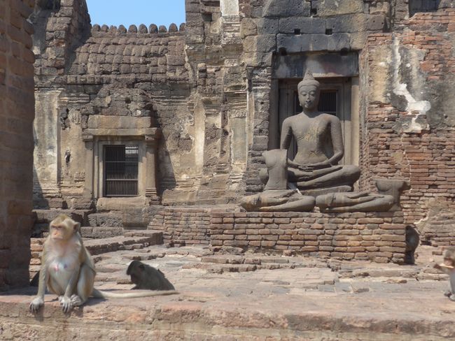 Affentempel Lopburi und Wat Chantharam (Thailand Part 7)