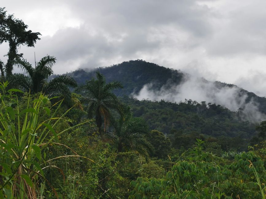 3. + 4. Etappe: Auf und ab durch den Dschungel des indigenen Naturreservats der Cabeca