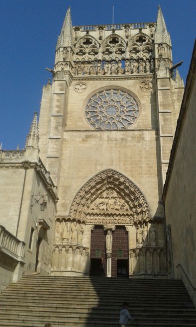 The Cathedral