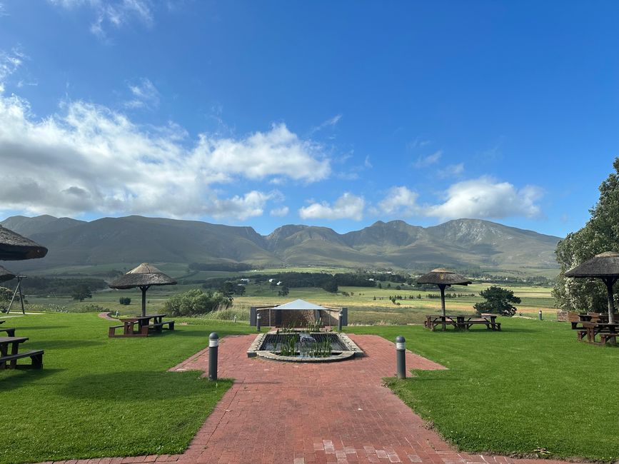Hermanus ♥️