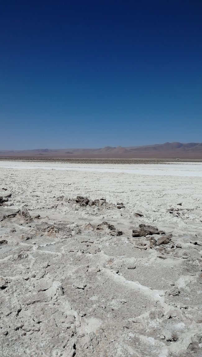 Baltinache-strandmeer en Vallei van die Maan - San Pedro de Atacama - Chili
