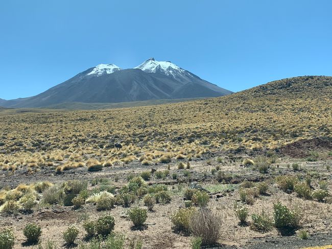 Volcanoes and relatively lush vegetation