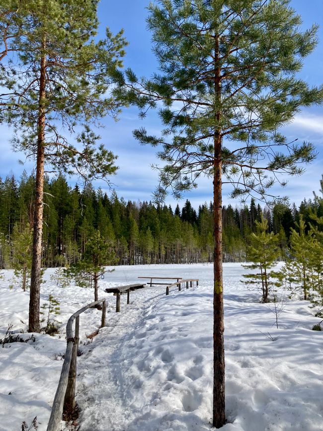 Sendero Natural Kangasvuori, Sauna y Escape