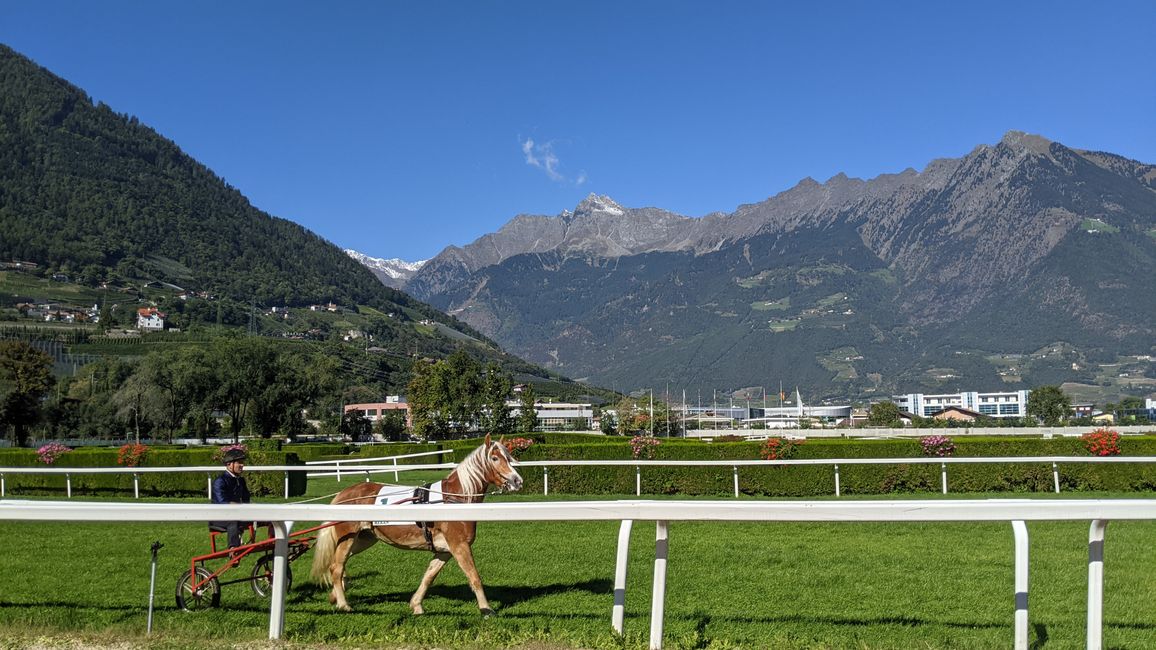 Tag 2: Alpin Bob, Pferderennen und berühmte Schlossgärten