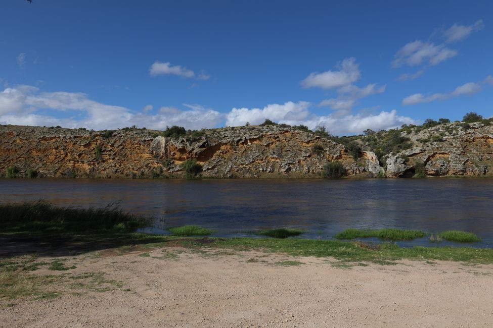 Murray River at Purnong
