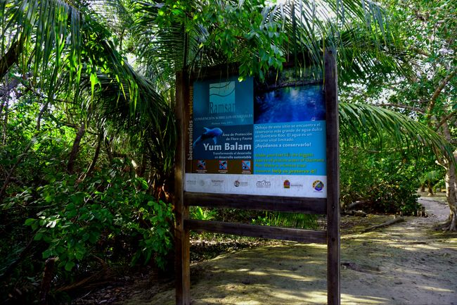 Cenote Yum Balam