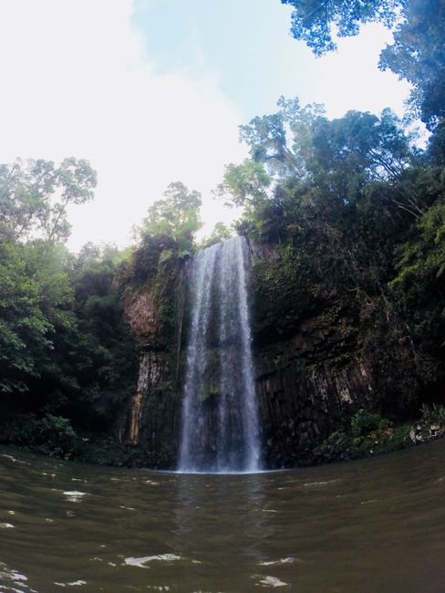 Kuranda and the waterfalls