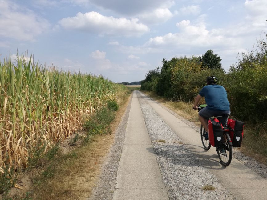 Caminos II